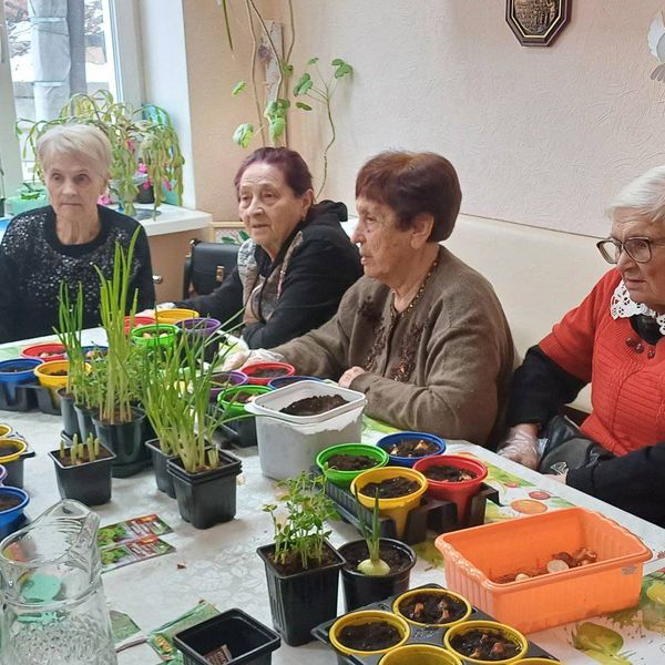 'Workshop "Balcony Garden"' poster