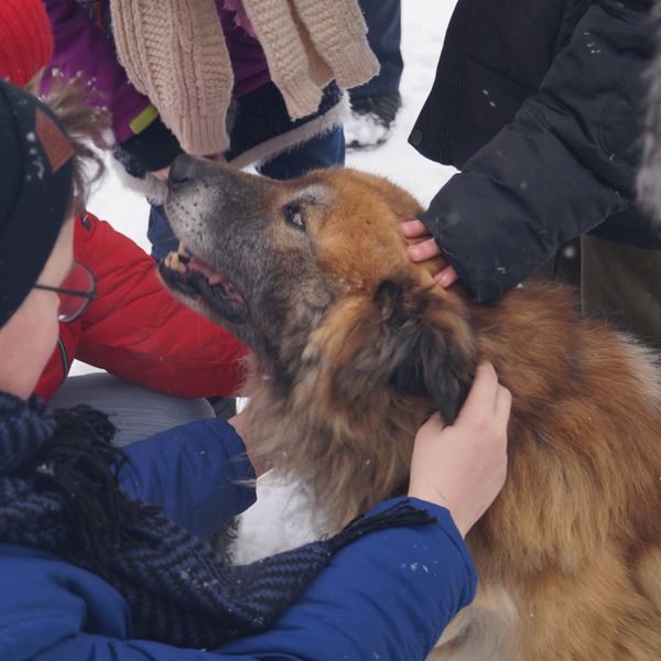 'Visit to the animal shelter' thumbnail